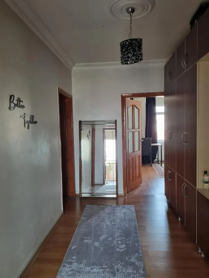 Single Room, Одноместная Комната В Доме, Chambre D'Une Personne, Habitacion Individual Istanbul Bed & Breakfast